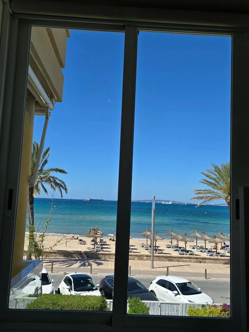 Limpieza en Palma de Mallorca
